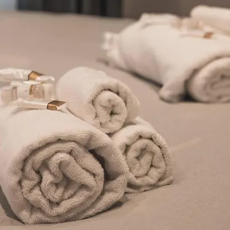 Appartamento Ospedale Maggiore Vidali Elegant *netflix* *