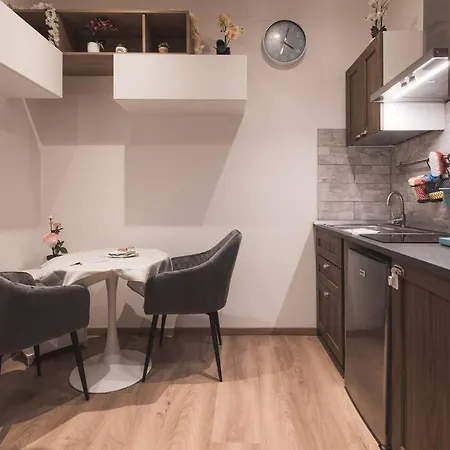 Ospedale Maggiore Vidali Elegant *netflix* Apartment